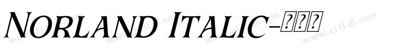 Norland Italic字体转换